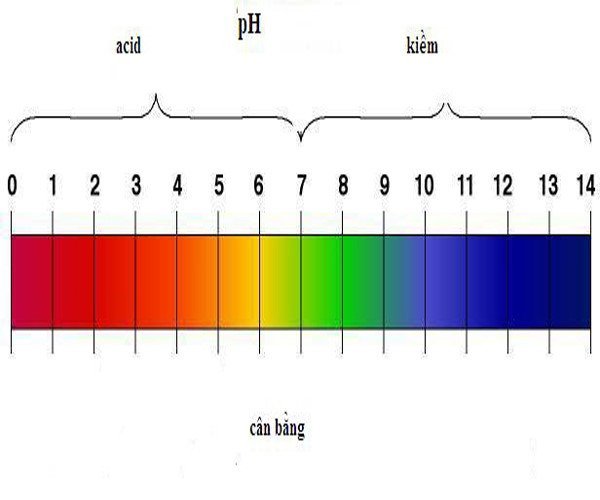 Cách cân bằng da
