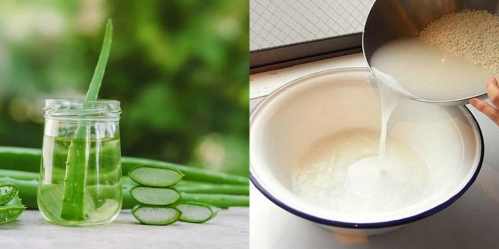 4 cách làm đẹp bằng nha đam cực dễ giúp da mịn đẹp 11 - 4 cách làm đẹp bằng nha đam cực dễ giúp da mịn đẹp, - cách làm đẹp bằng nha đam, làm đẹp da, mặt nạ nha đam, mặt nạ nha đam chanh, mặt nạ nha đam mật ong, mặt nạ nha đam nước vo gạo - Mỹ phẩm làm đẹp, trang điểm, chăm sóc da hiệu quả an toàn làm đẹp bằng nha đam