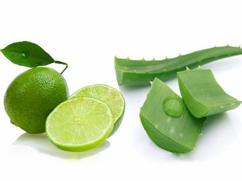4 cách làm đẹp bằng nha đam cực dễ giúp da mịn đẹp 12 - 4 cách làm đẹp bằng nha đam cực dễ giúp da mịn đẹp, - cách làm đẹp bằng nha đam, làm đẹp da, mặt nạ nha đam, mặt nạ nha đam chanh, mặt nạ nha đam mật ong, mặt nạ nha đam nước vo gạo - Mỹ phẩm làm đẹp, trang điểm, chăm sóc da hiệu quả an toàn làm đẹp bằng nha đam