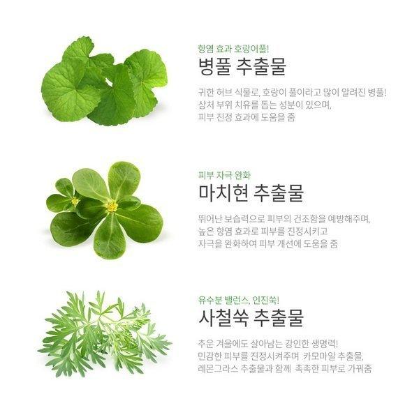 Review tinh chất trị mụn Caryophy Portulaca Ampoule 22 - Review tinh chất trị mụn Caryophy Portulaca Ampoule, - Caryophy, tinh chất, tinh chất trị mụn, trị mụn - Mỹ phẩm làm đẹp, trang điểm, chăm sóc da hiệu quả an toàn tinh chất